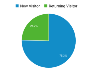 pie chart showing 75.3% of traffic is from New Visitors